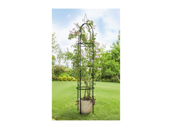 Florabest Rose Arch or Obelisk