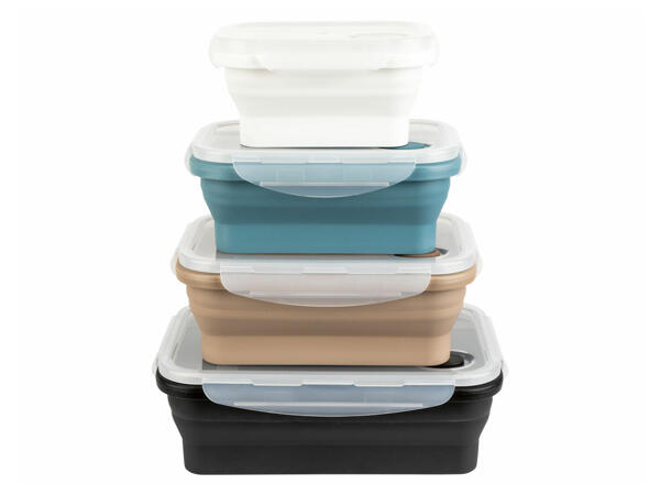 Collapsible Storage Containers