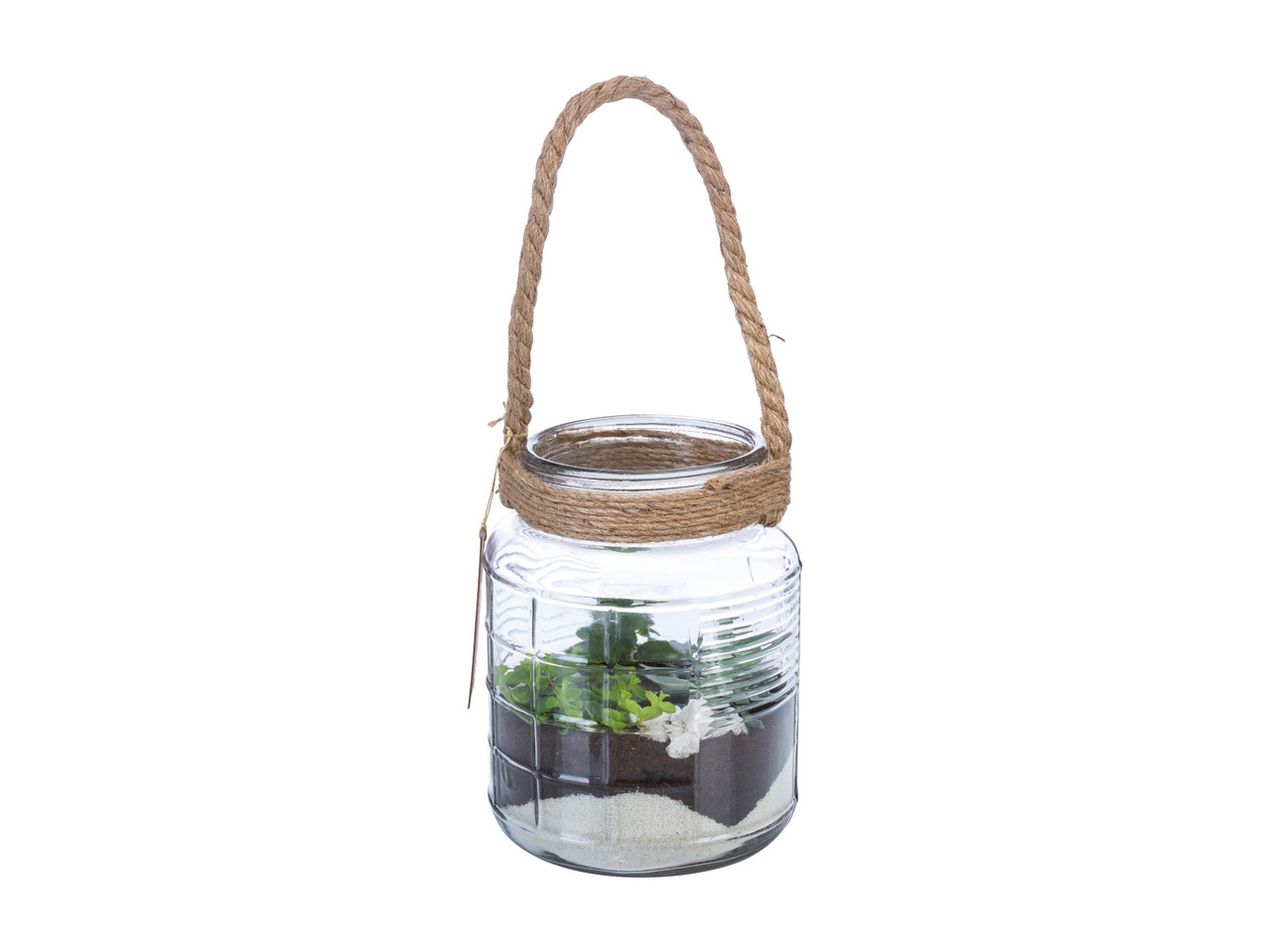 Terrarium1