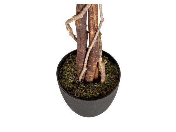 Umělý strom FICUS