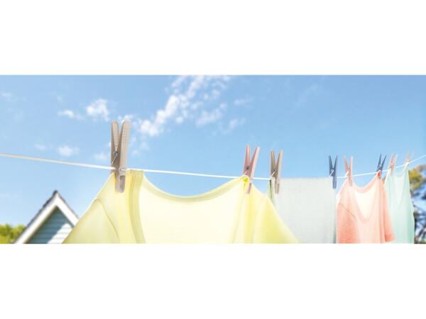 Clothes Pegs