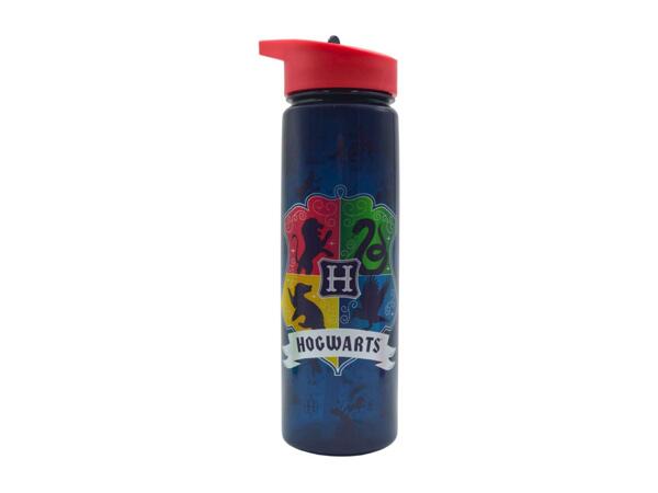 Zak Character Water Bottle - 600ml
