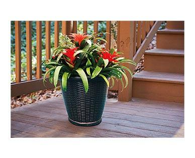 Belavi 
 18" Resin Wicker Planter