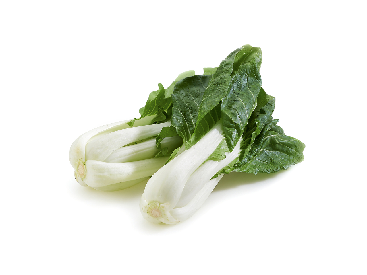 Paksoi