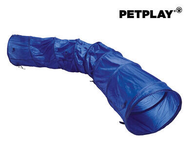 Dog Agility Assortment