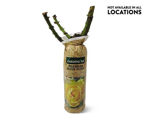 Gardenline 
 Premium Rose Bush Assorted Varieties