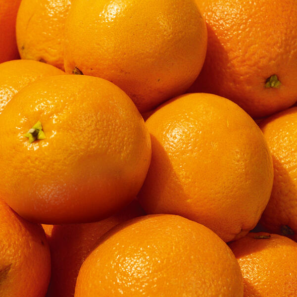 Orangen
