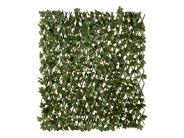 Livarno Privacy Protector