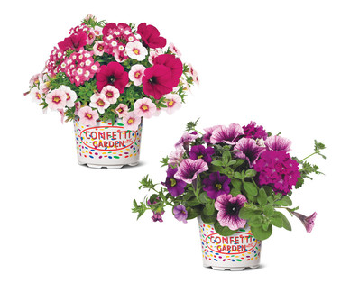 Confetti Flower Pot