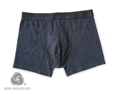 Men's Merino Briefs or Trunks