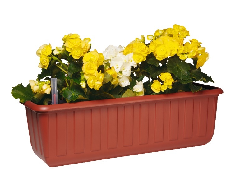 HTN - Set Di 3 Canali Di Irrigazione Per Piante Interne Ed Esterne 19 X 7 5 Cm Jiujiuso 8252063259518