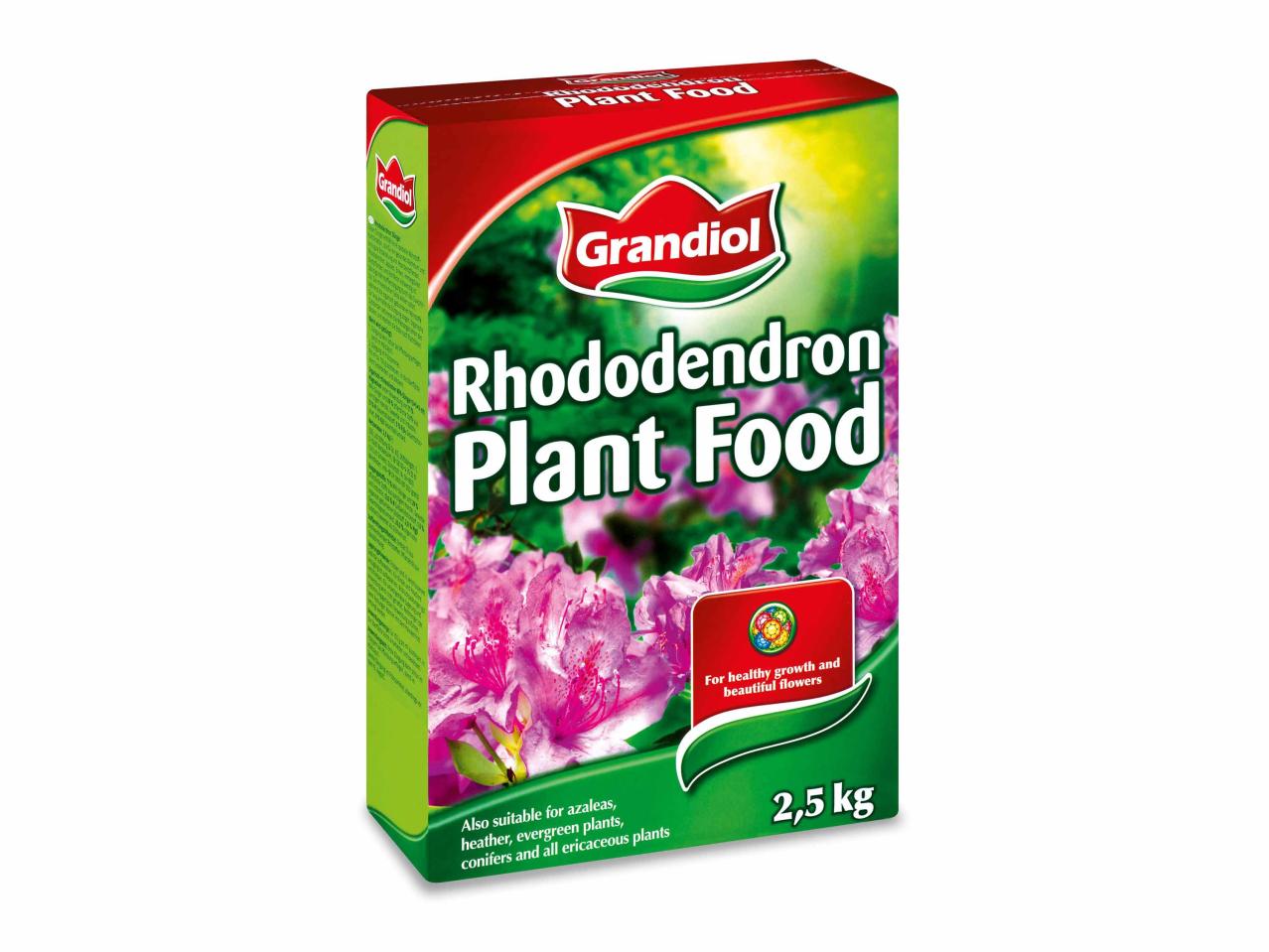 Engrais pour rhododendron