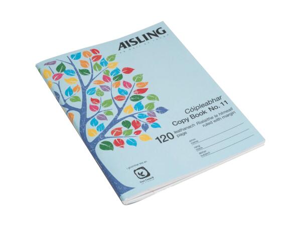 Copybook 120 Page