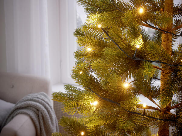 LED Christmas Lights