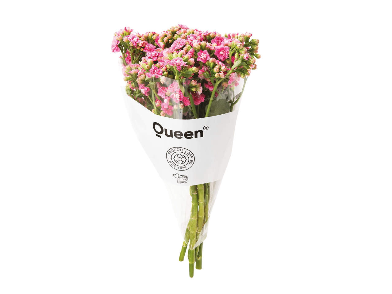 Kalanchoë buket