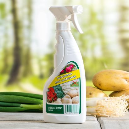 Spray contre pucerons