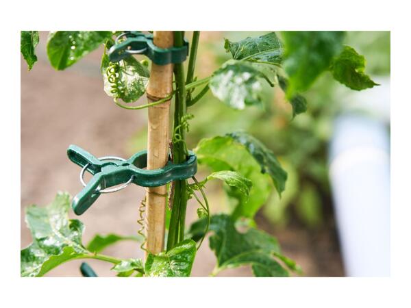 Parkside Growing Accessories Assortment