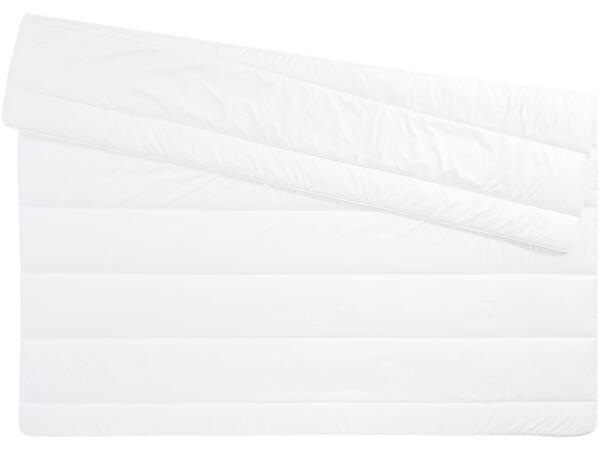 Dust Mite Duvet