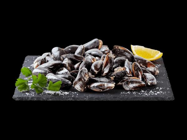 Moules MSC