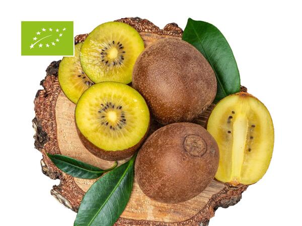Bio Kiwi Gold