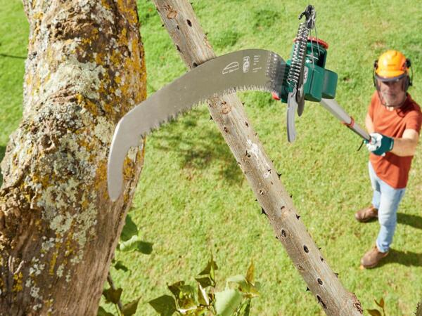 Extendable Tree Lopper with Saw