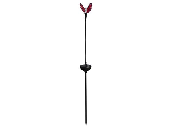 Decorative LED solar light