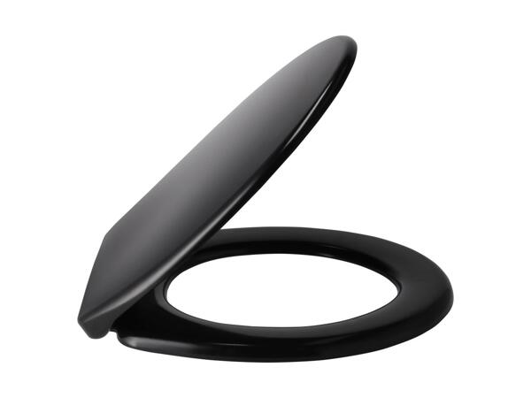 Toilet Seat