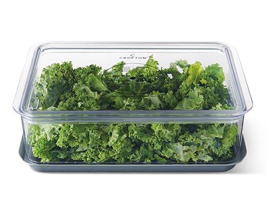 Crofton 2pk Berry Keeper or Produce Keeper