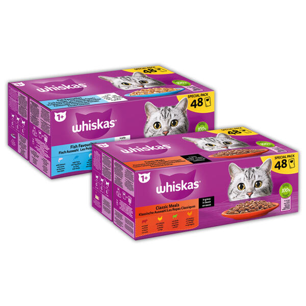 Katzennahrung XXL