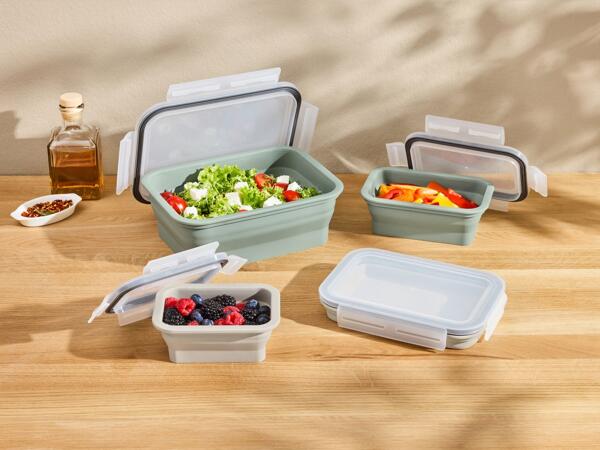 Collapsible Food Storage Containers, 4 Pieces or Collapsible Lunchbox