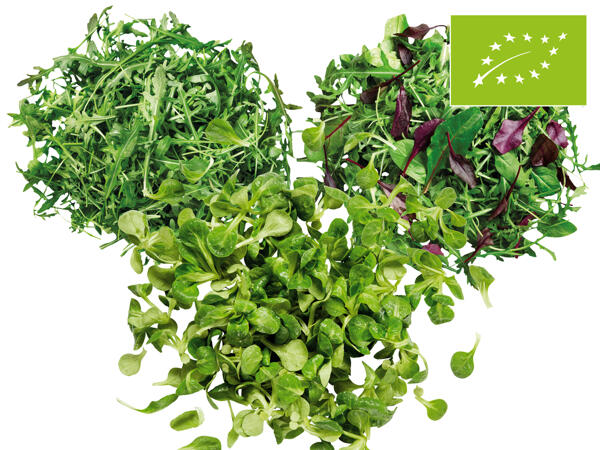 Bio Salat