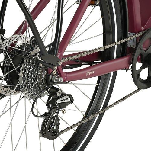 PROPHETE E-Bike Entdecker 2.3 Herren