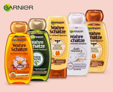 GARNIER Shampoo/Spülung