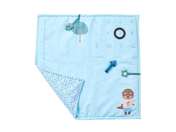 Baby Milestone Blanket