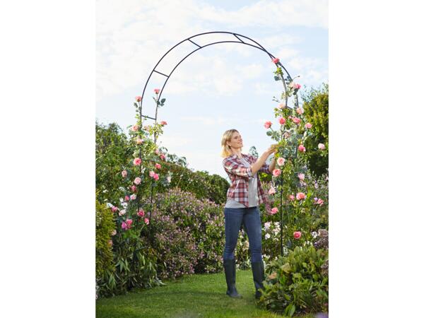 Rose Arch/Garden Obelisk
