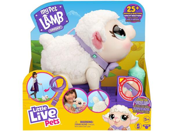 Interactive Toy