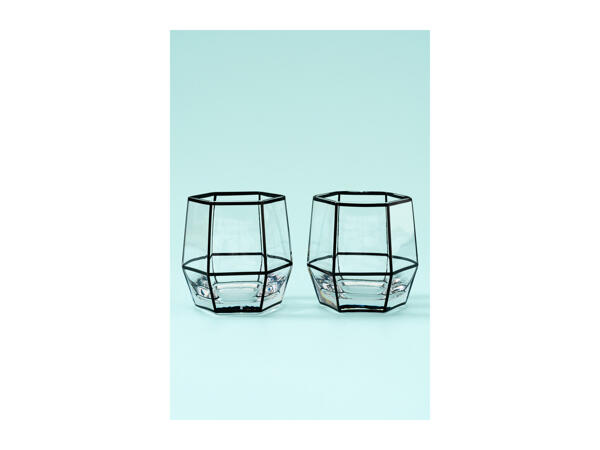 Root7 Assorted Tumbler