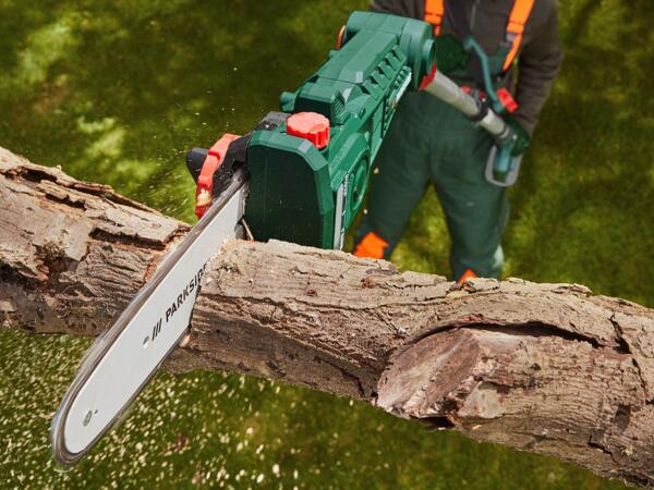 20V Cordless Pruner
