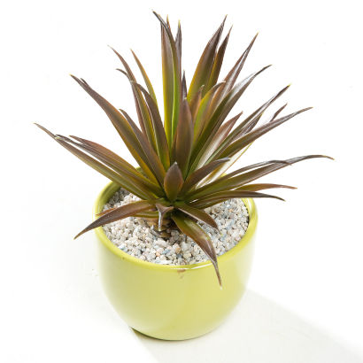 Fausse plante verte