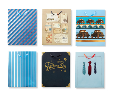 FATHER'S DAY GIFT BAG OR GREETING CARD