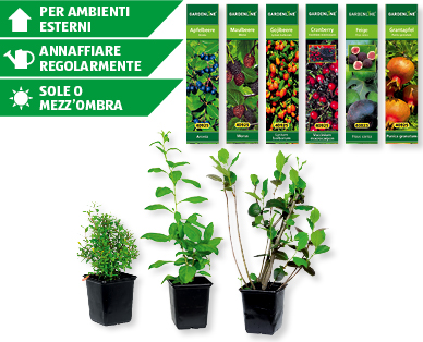 Piante da frutta GARDENLINE(R)