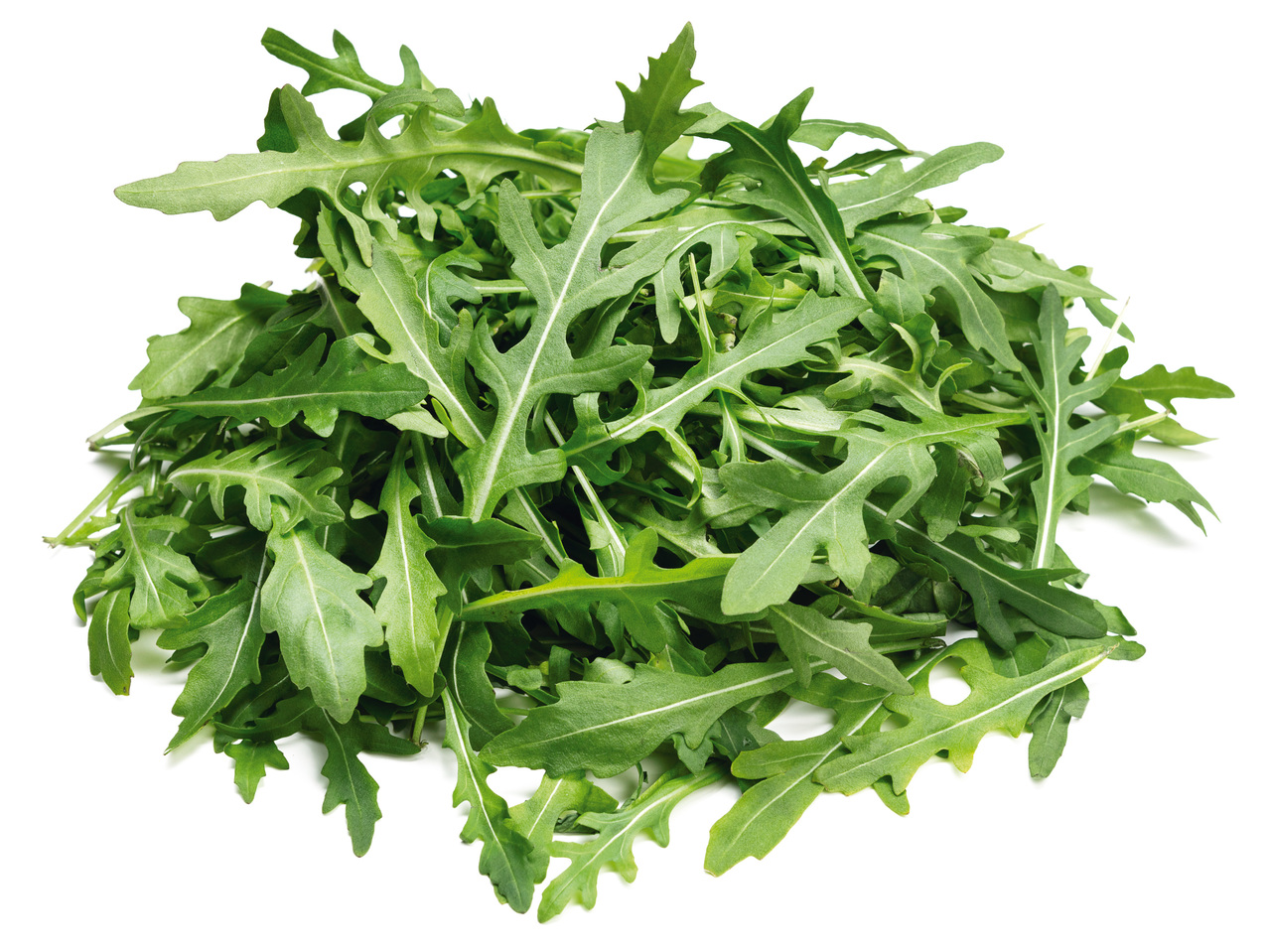 Rucola-Salat