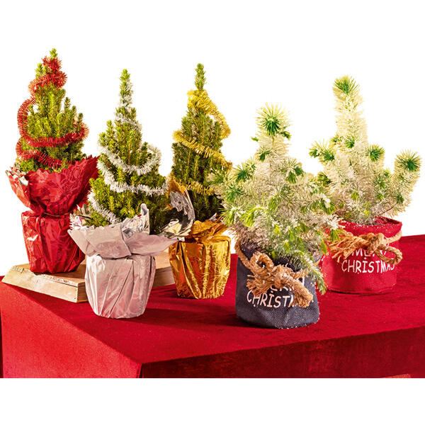 Geschmückter Weihnachtsbaum