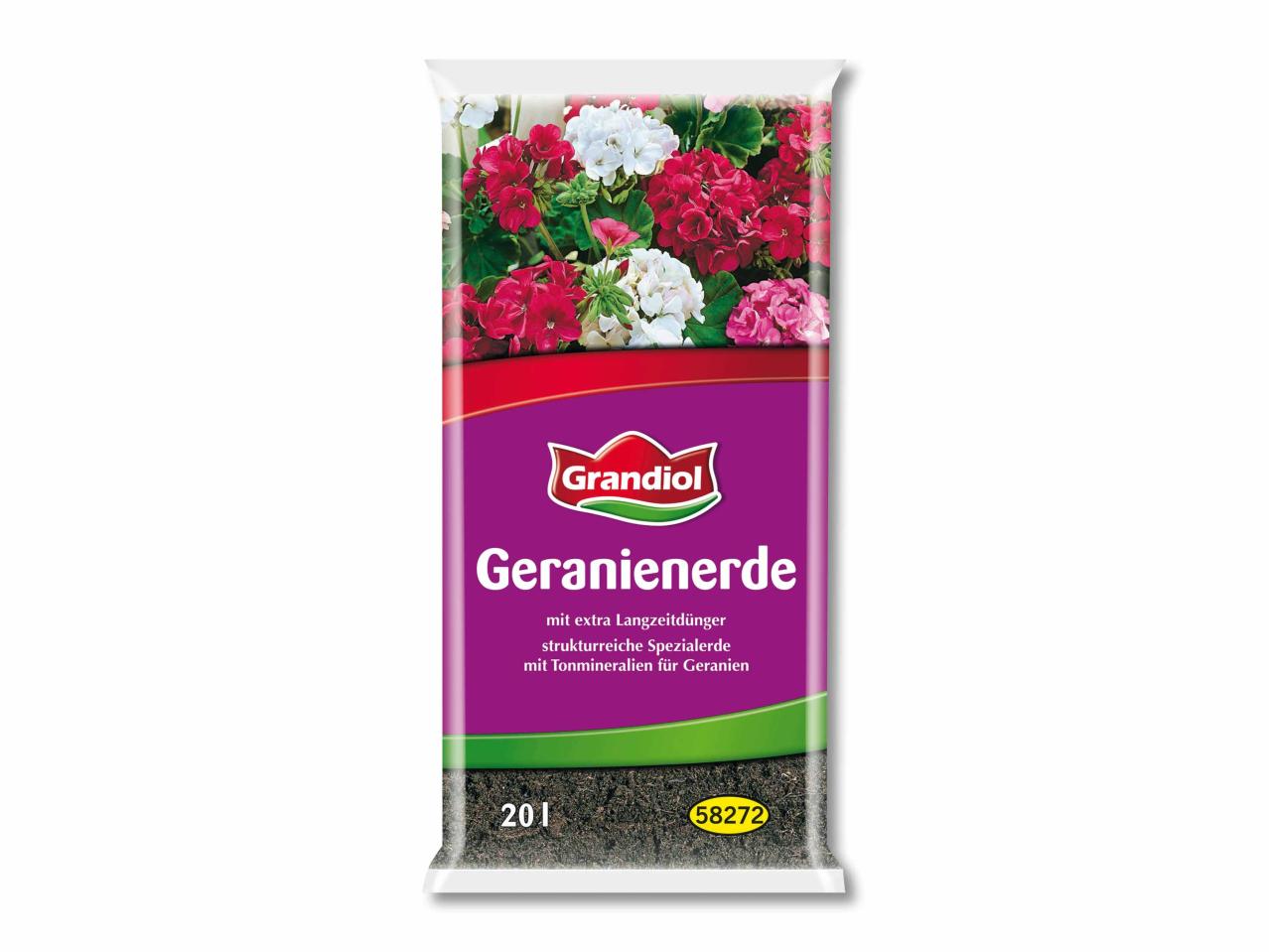 Terreau pour géraniums
