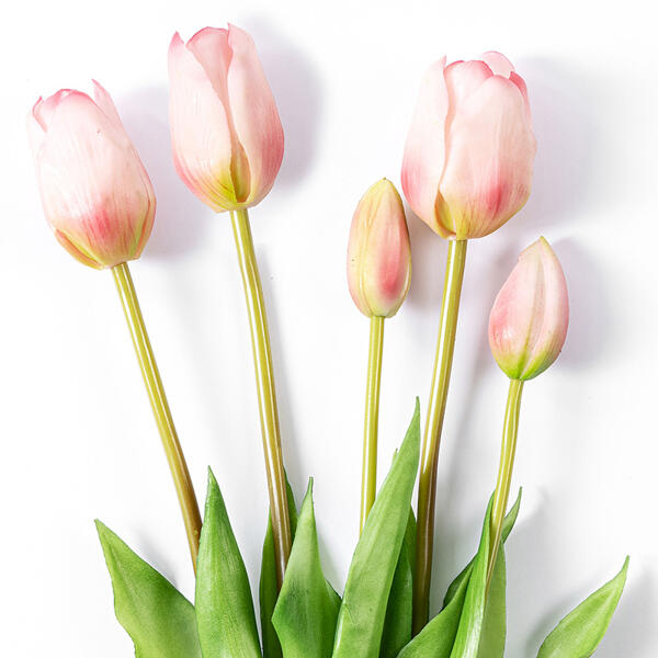 Deko-Tulpen 5er-Set