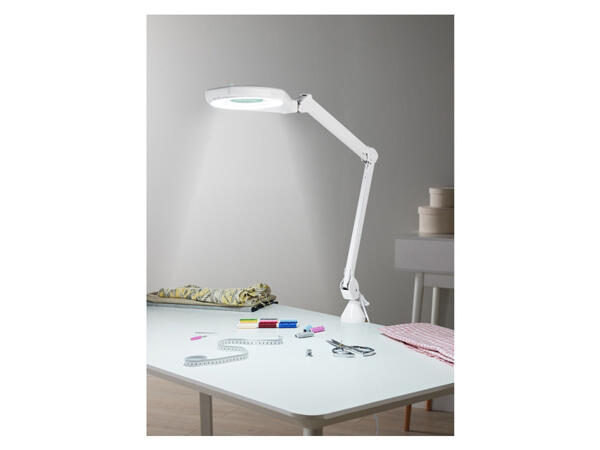 LIVARNO home LED lampa s lupou