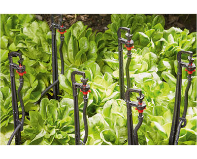 Garden Irrigation or Sprinkler Kits