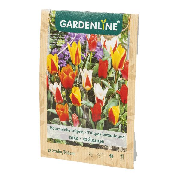 GARDENLINE(R) 				Bulbes à fleurs