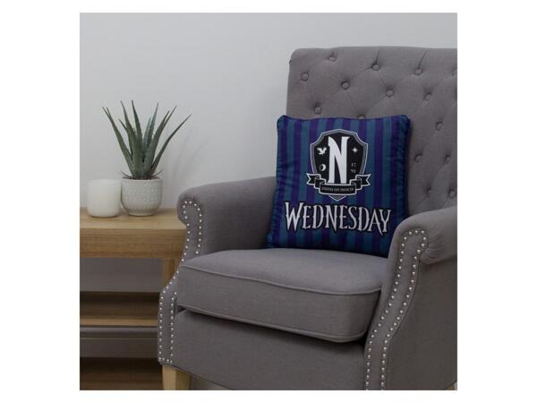 Cushion 40x40cm "Wednesday"
