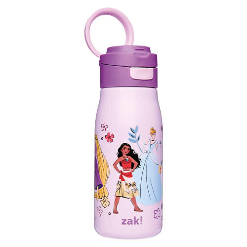Kids Disney Princess Character Stainless Steel Water Bottle